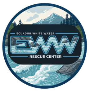 Photoroom-20250119_195919